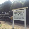 小金井公園で静態保存されている蒸気機関車　間近で見ることができて大迫力